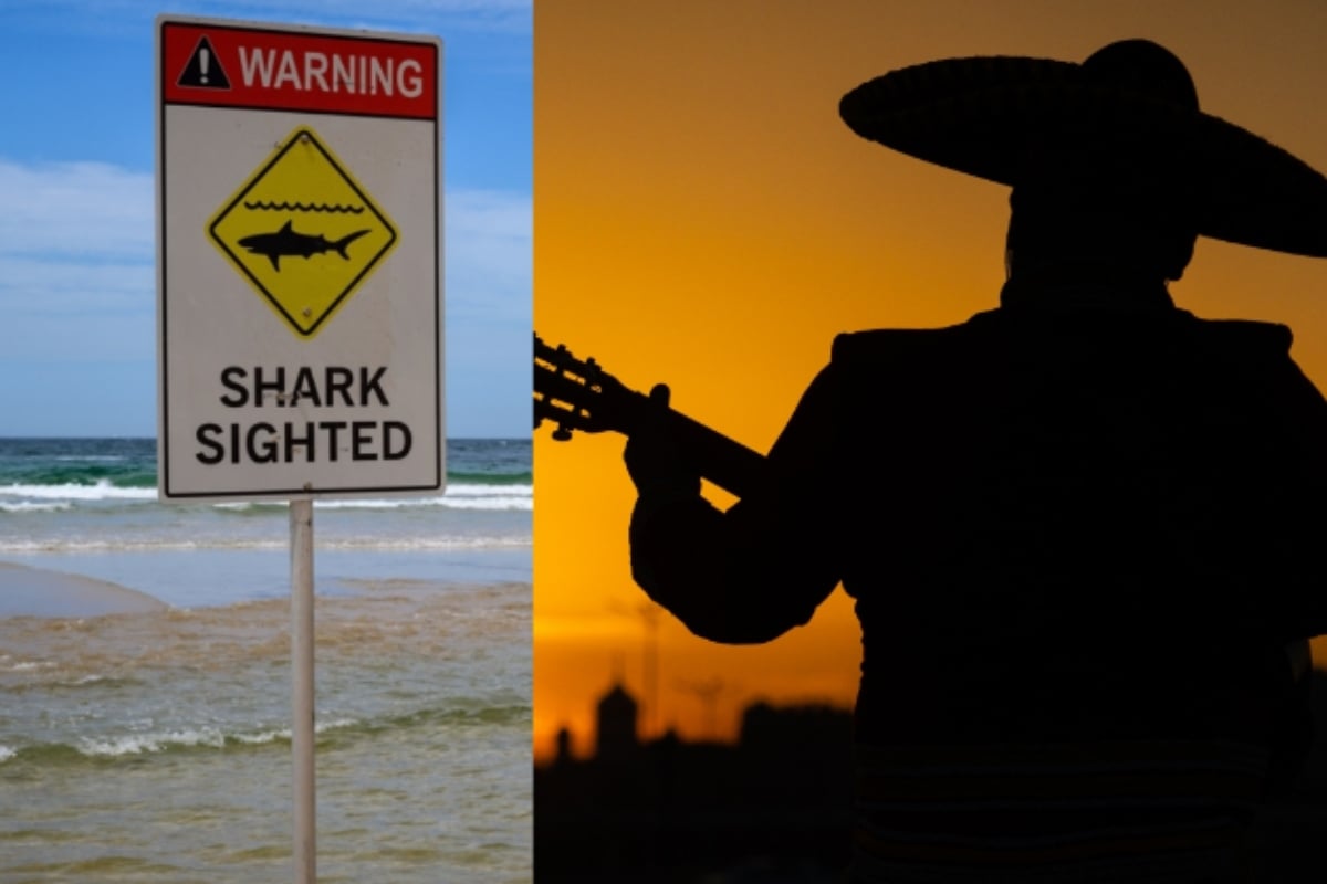 Mariachi, Tecalitlán, shark, attack