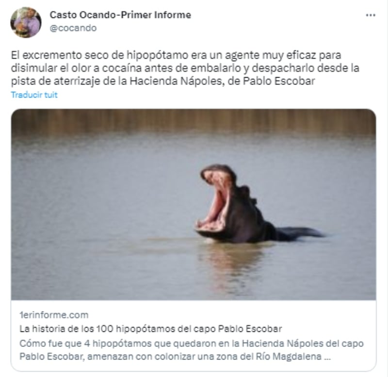 ¿Cómo llegaron a Colombia?