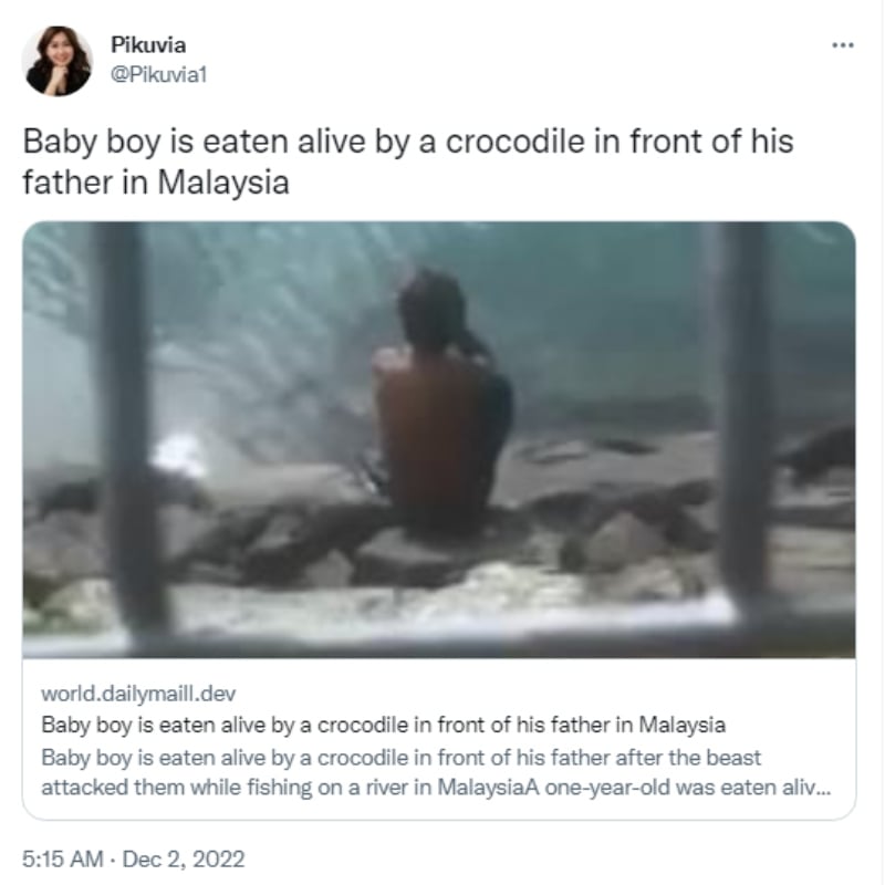 Crocodile devours child: They did not find the minor