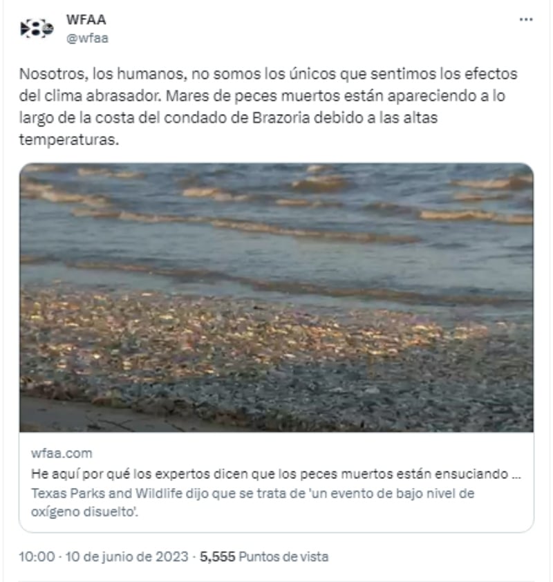 Aparecen miles de peces muertos en playa de Texas
