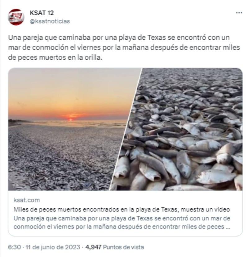 ¿Se acerca el Apocalipsis?