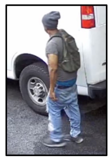 policía, búsqueda, hombre, herramientas, MundoNow