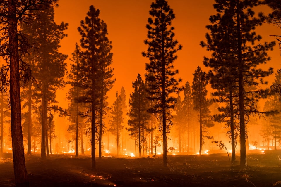 riesgo de incendios, montañas, Poplar Drive Fire, condado de Henderson, MundoNOW