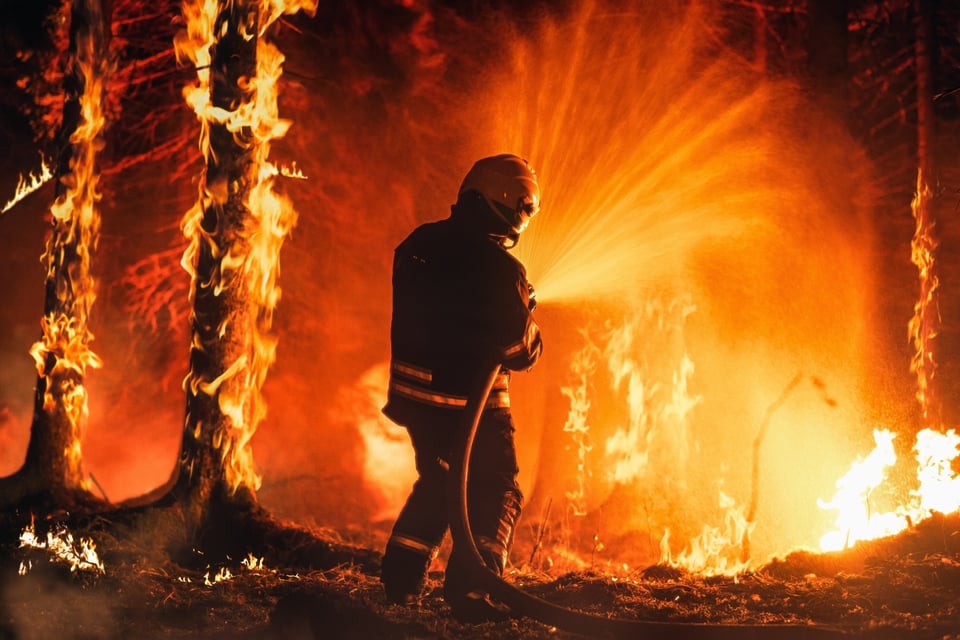 incendio, bomberos, MundoNow, accidente, incidente, Auto Mall