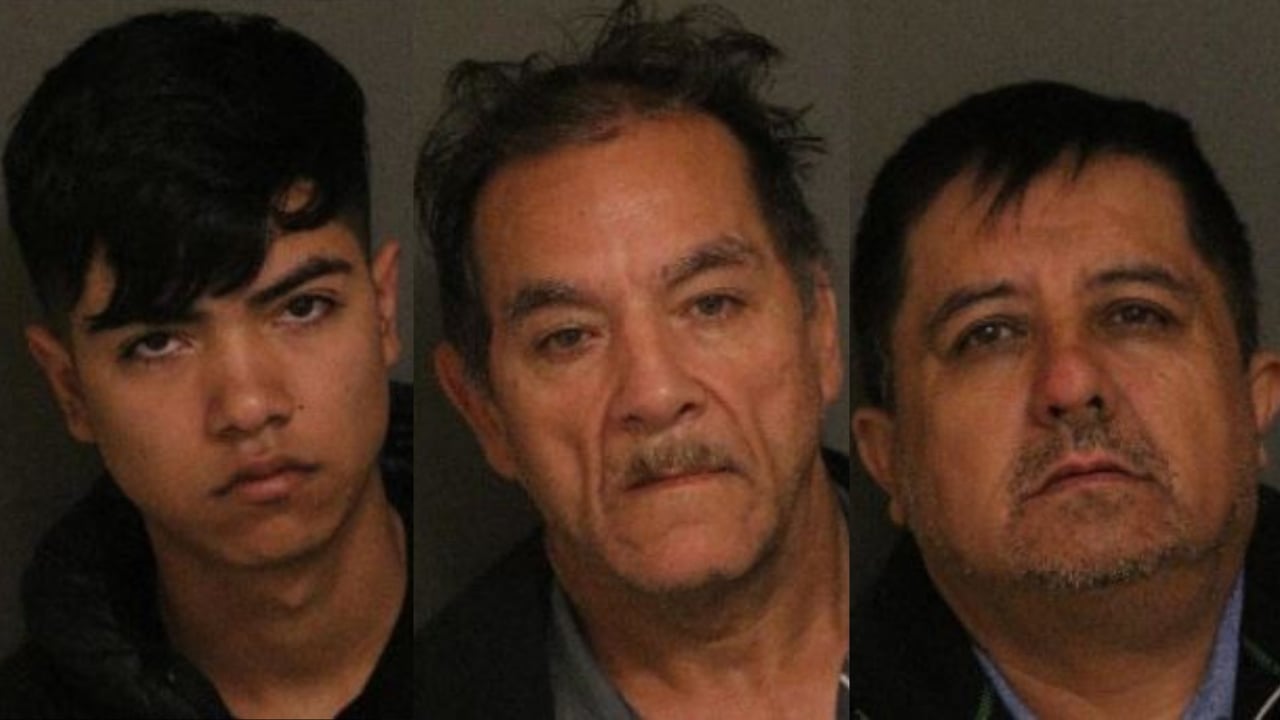 Crónica banda invadir casas, arresto, robo, delincuentes, seguridad