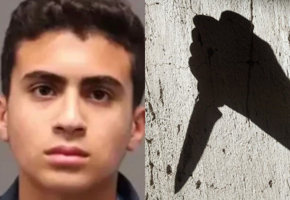 Revelan foto de joven hispano que asesinó a su madre