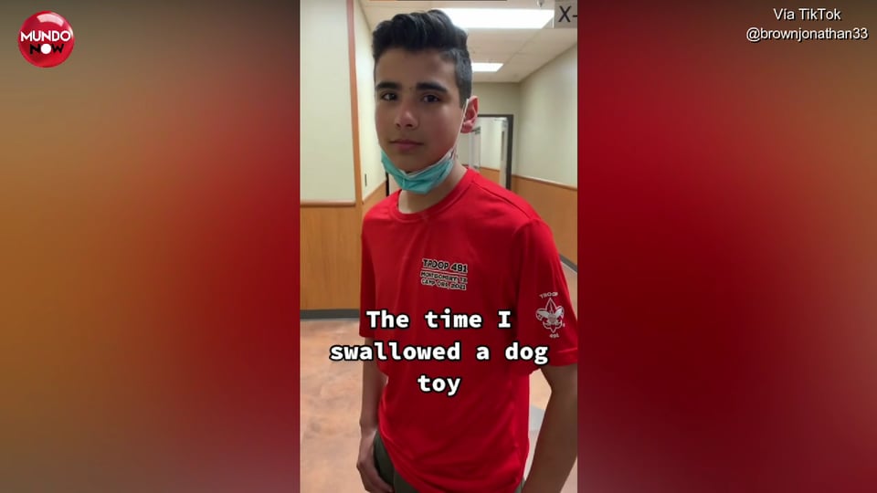 Se traga juguete de perro y se hace viral en redes sociales