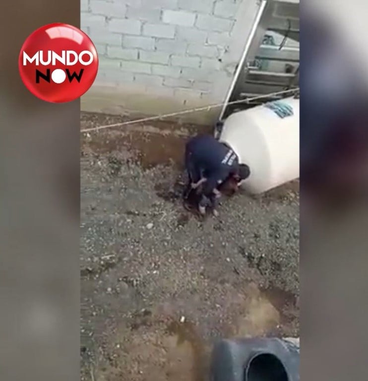 Mexicana atarazada en Tinaco