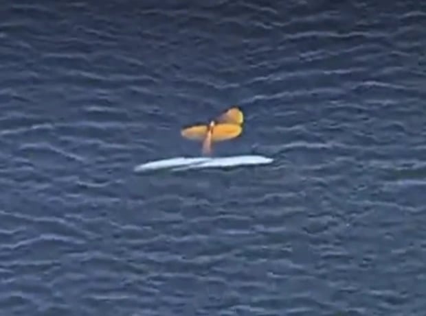 Choque de avionetas Florida: Un avión debajo del agua