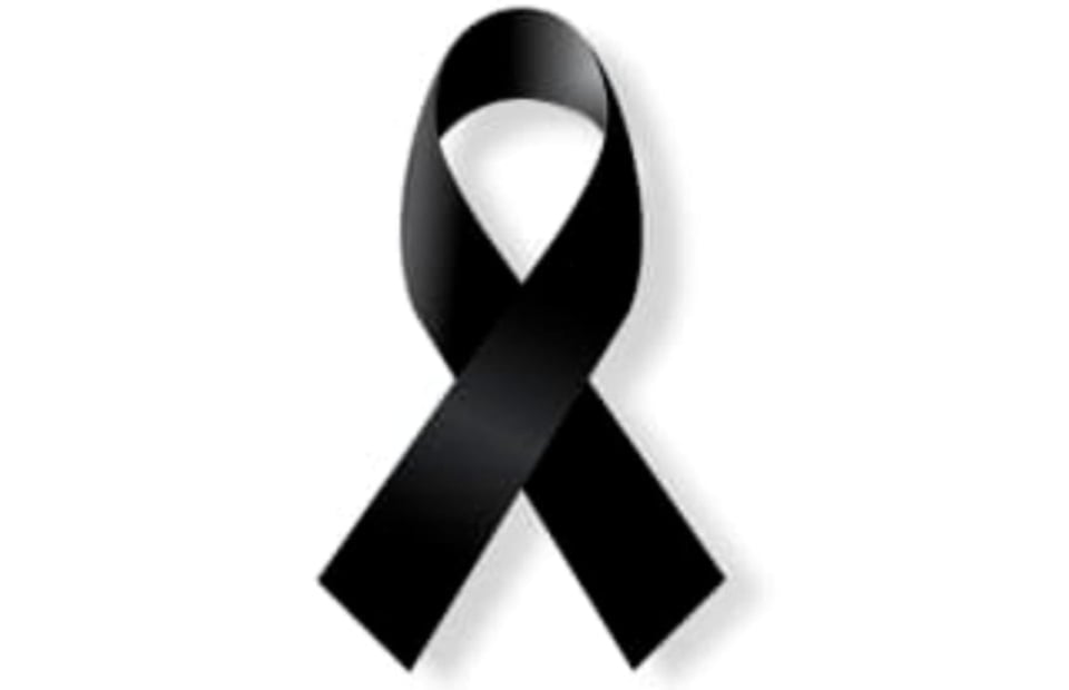 Muere el beisbolista, Darwyn Encarnación a los 21 años en terrible accidente