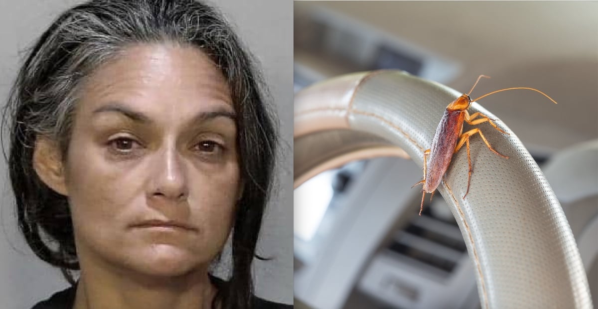 Maggy Álvarez, arresto, mugshot, negligencia infantil, Florida, MundoNOW