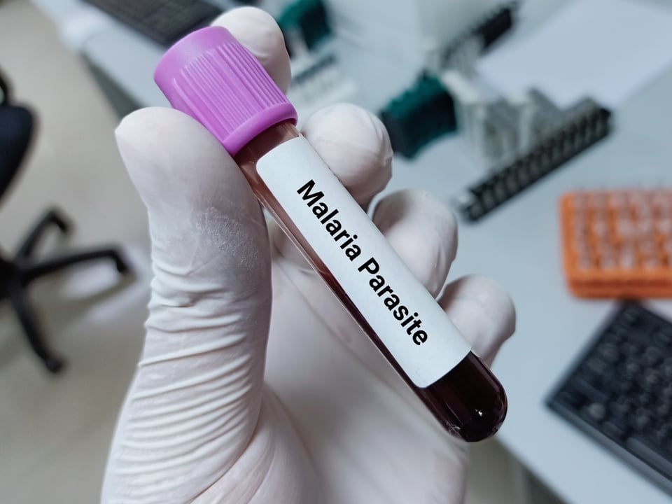 Emiten una alerta sanitaria tras confirmarse dos casos de malaria en Florida featured image