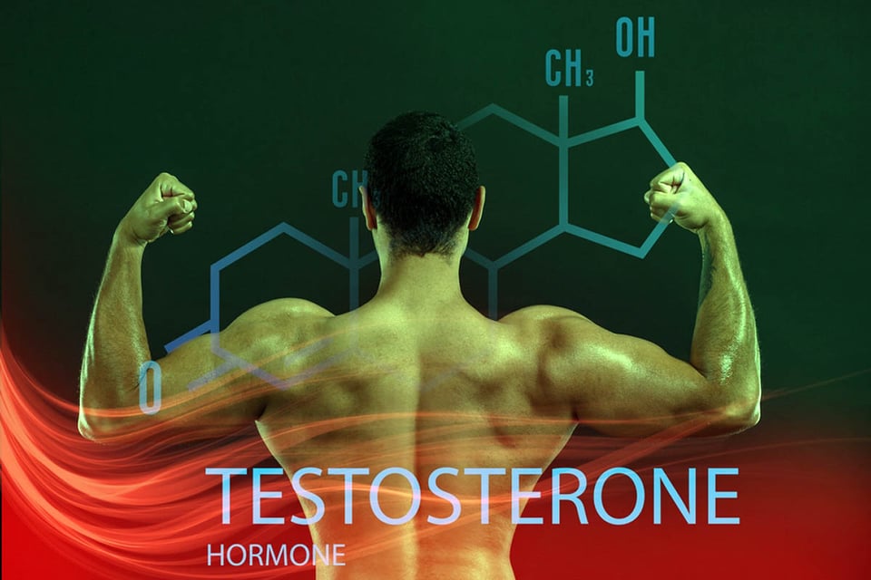 pros y contras de la terapia con testosteronas, hormonas, masculina, sexual, salud, testosterona.