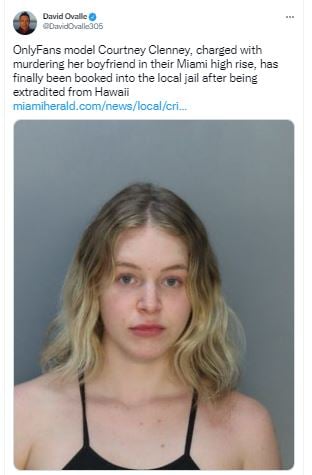 “Lo siento, bebé”, dijo la modelo tras apuñalar a su novio