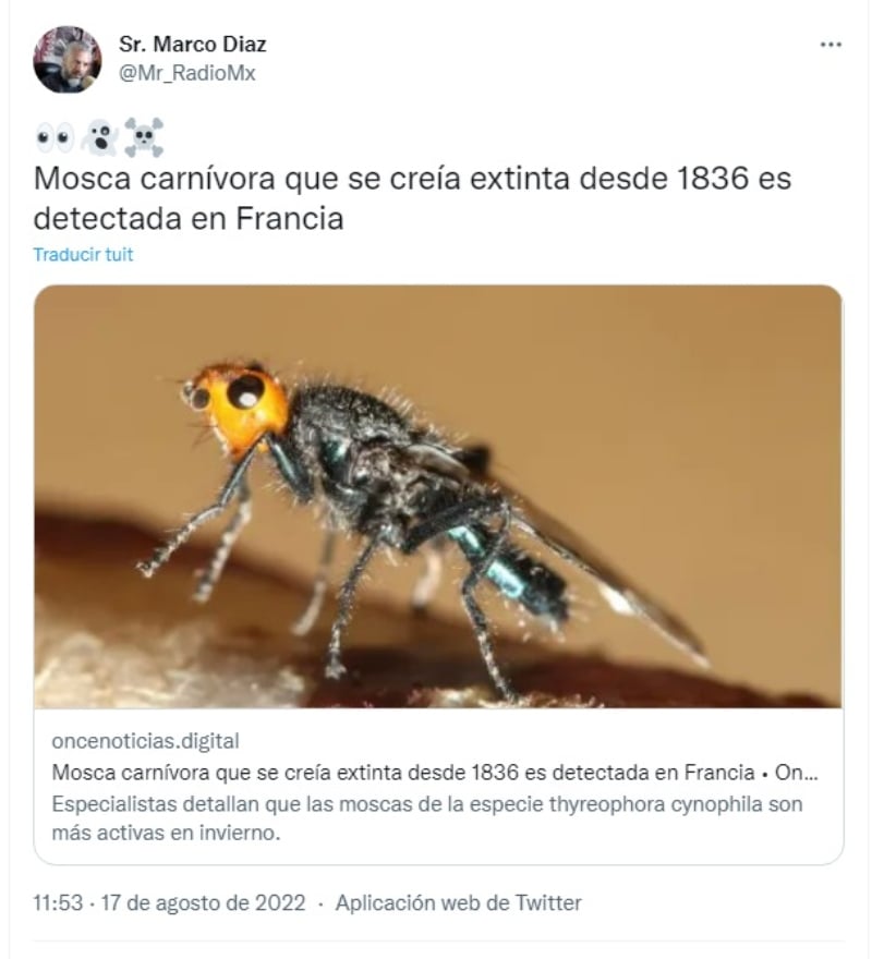 Alerta por descubrimiento de la Mosca Carnívora