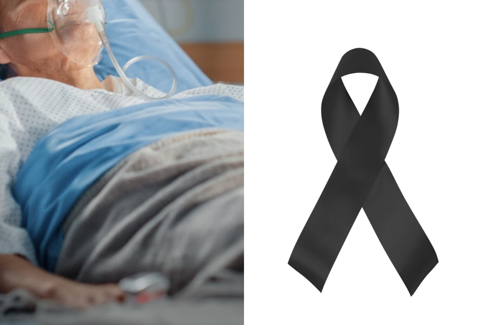 Muere la cantante y actriz Conny Van Dyke los 78 años