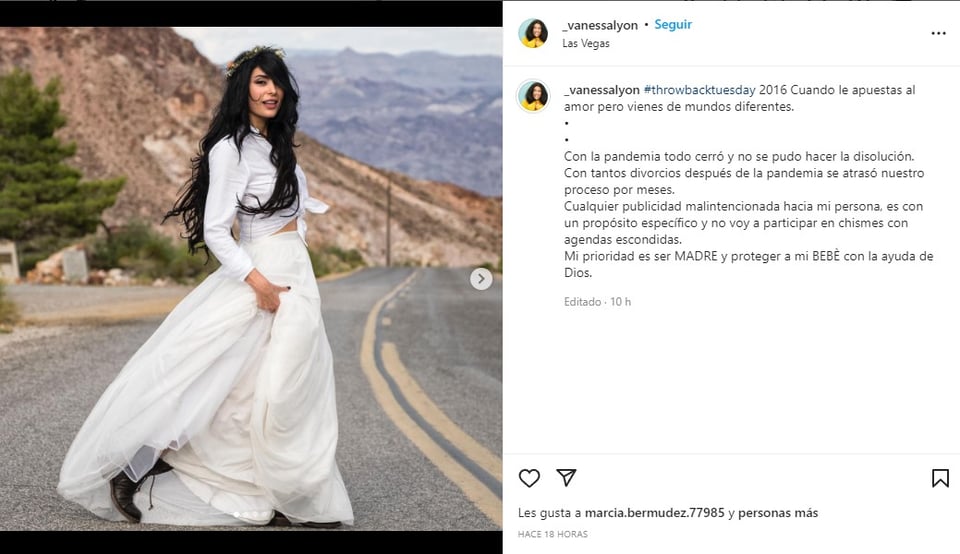 Vanessa Lyon estuvo casada