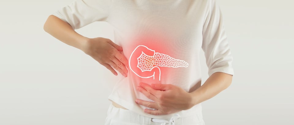 Cáncer de páncreas, el padecimiento que sufrió Susana Dosamantes