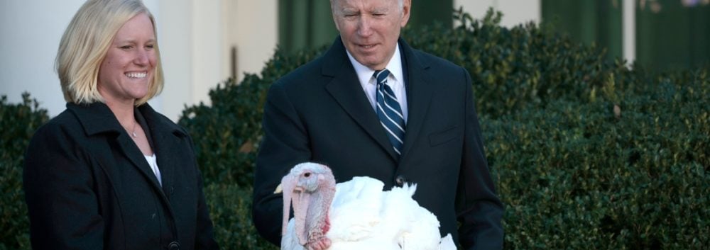 Biden perdona a dos pavos antes de Acción de Gracias