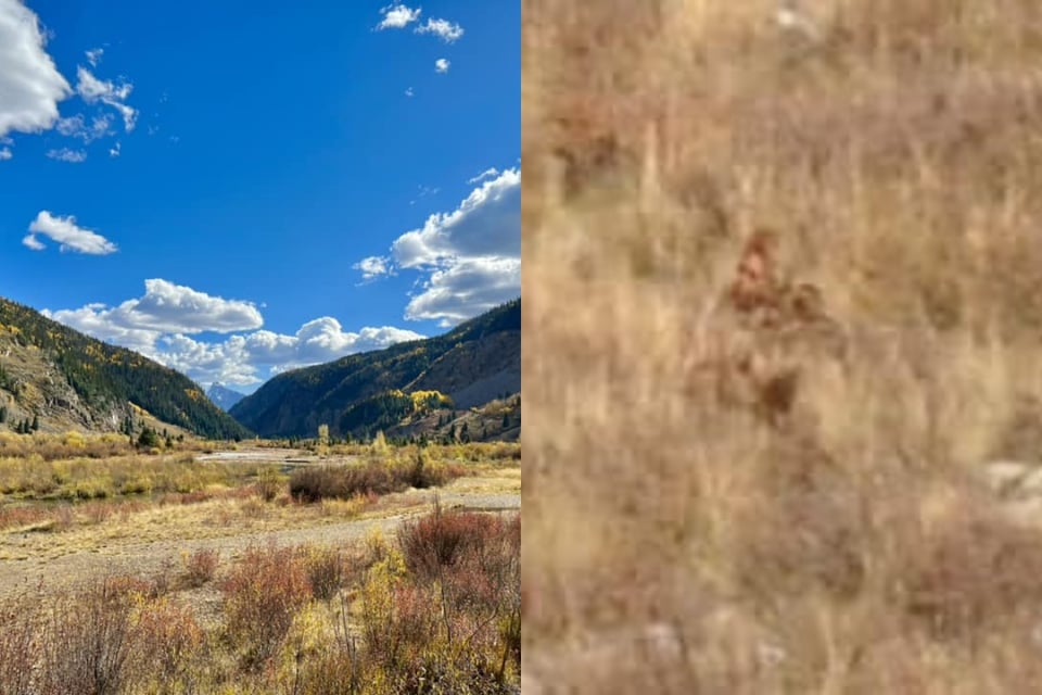Bigfoot caught on video in broad daylight in the Colorado mountains
