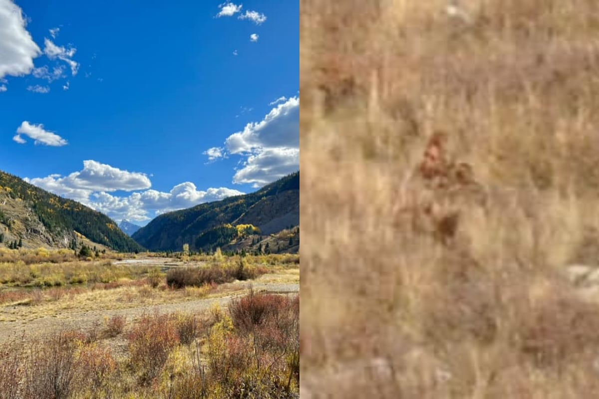 Bigfoot caught on video, Colorado, mountains