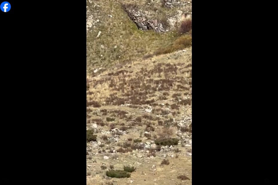 Montañas de Colorado, Naturaleza misteriosa, Aventuras de vacaciones, Investigación paranormal, Mitos y folklore, MundoNOW