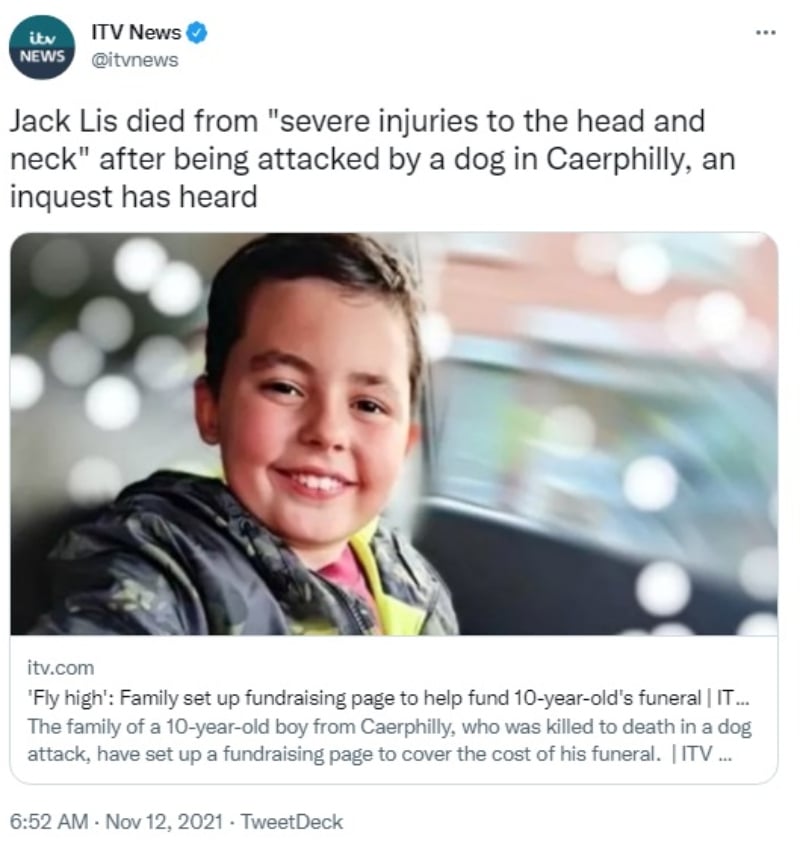 Perro Pitbull mata niño: Le dispararon 7 veces