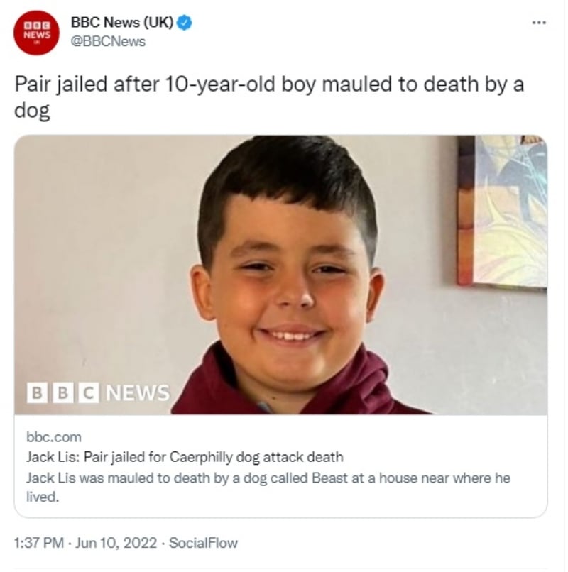 Perro Pitbull mata un niño de 10 años