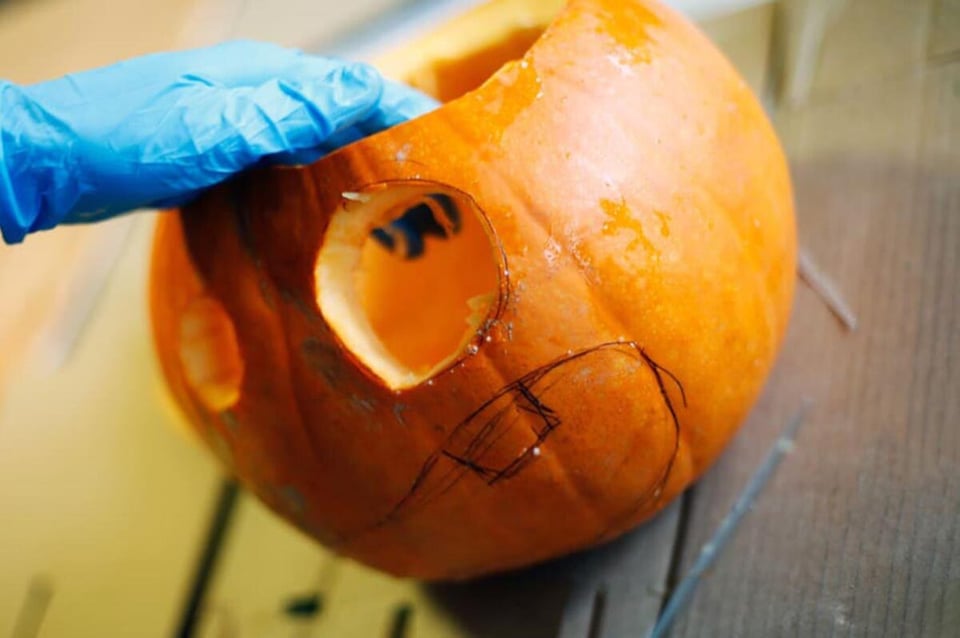 Halloween, decoration, tools