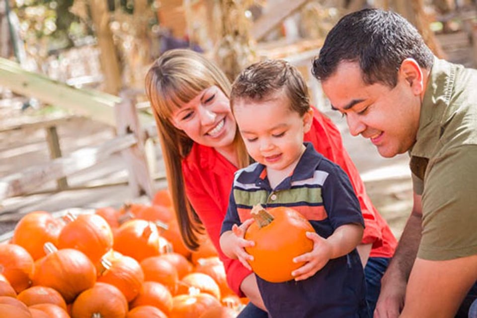 farm, family, fall, pumpkin carving ideas
