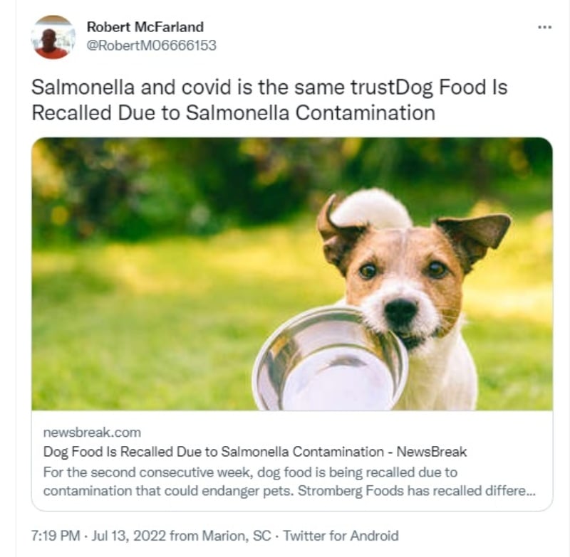 Retiran comida perros Salmonella: Posible riesgo de infección