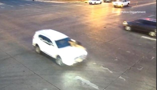 The mother of the little ones made a drastic decision to prevent them from being kidnapped