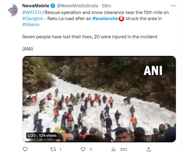 accident tourists