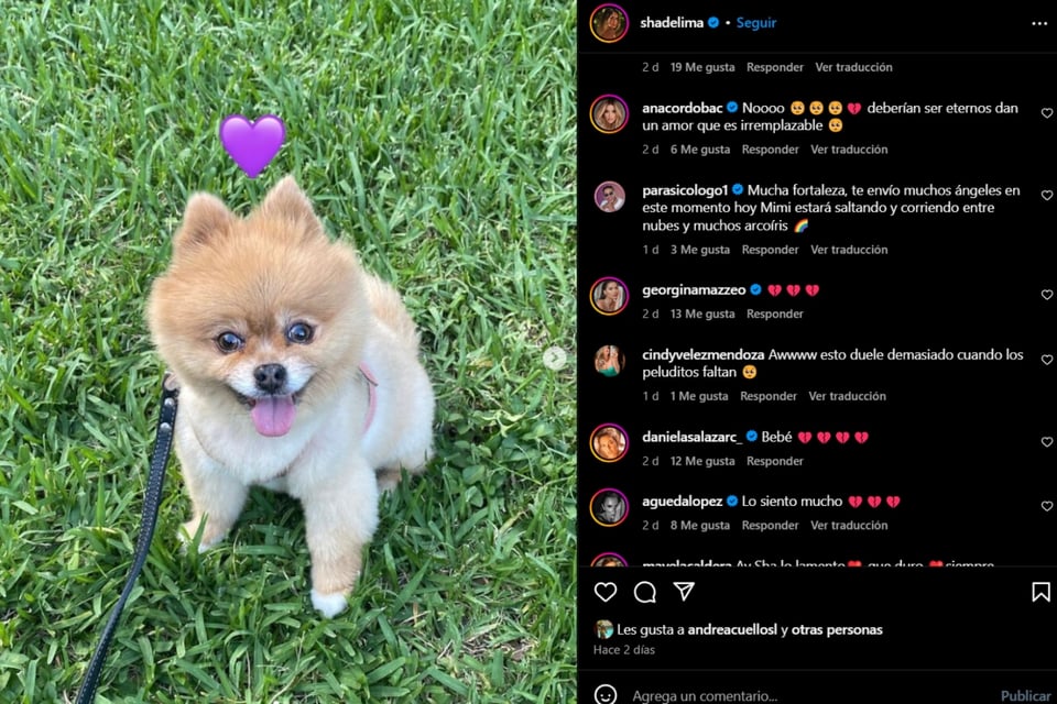 Shannon De Lima, luto, pérdida, MundoNOW