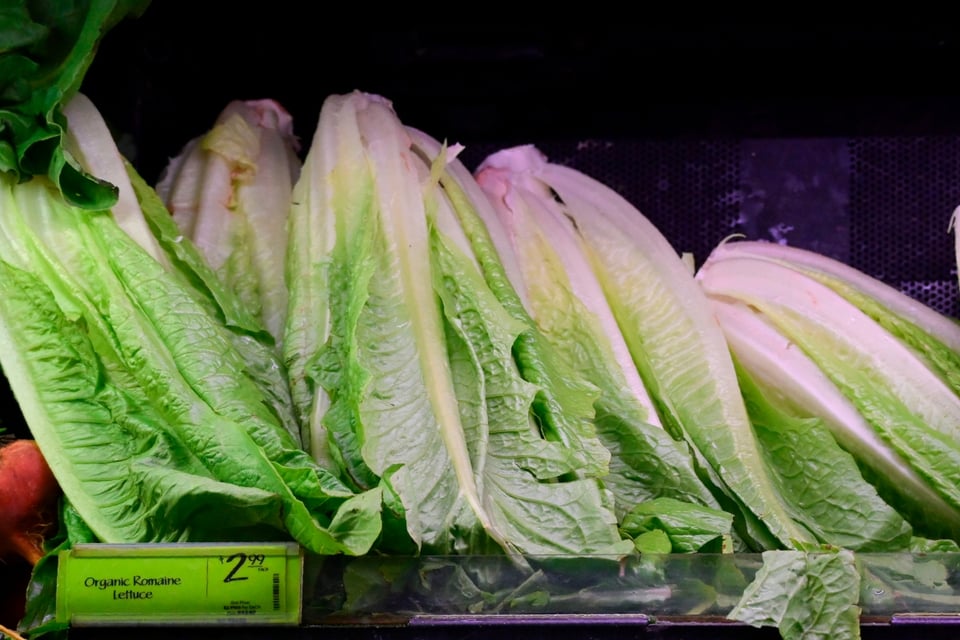 Ordenan recall urgente de ensaladas en EEUU por riesgo de listeria
