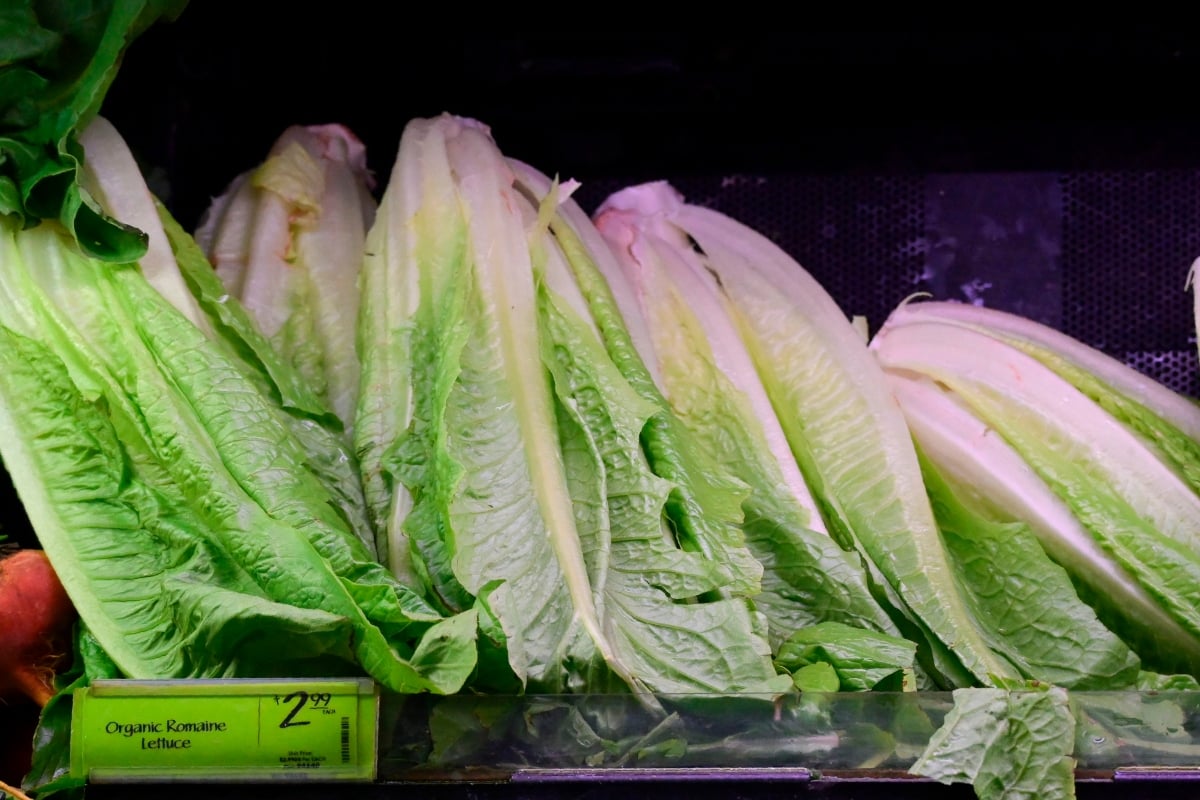 Ordenan recall urgente de ensaladas en EEUU por riesgo de listeria