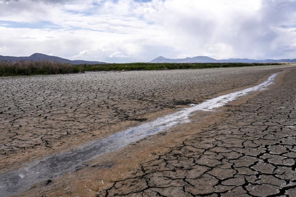 Sequía en California obliga a reducir el consumo de agua