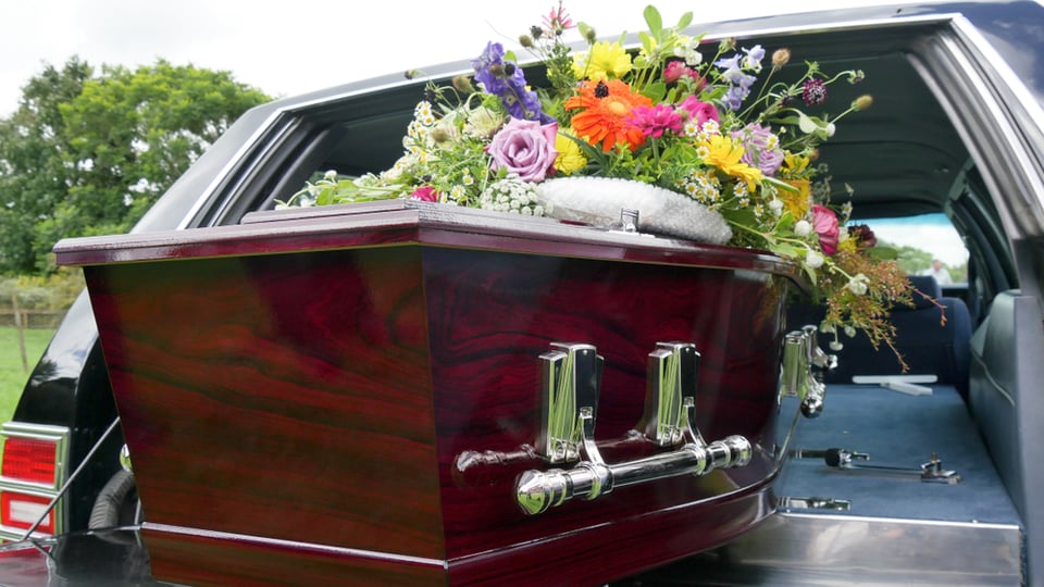 Muere James Harvey