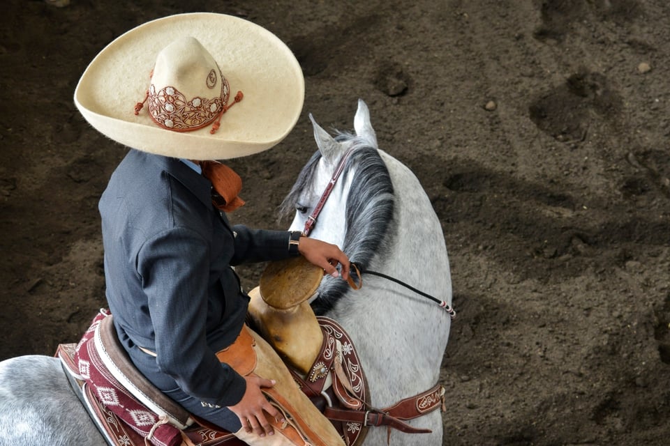 ¿Karma? Esposa de El Charro que ofendió a inmigrantes pide oraciones por la salud de su hija featured image