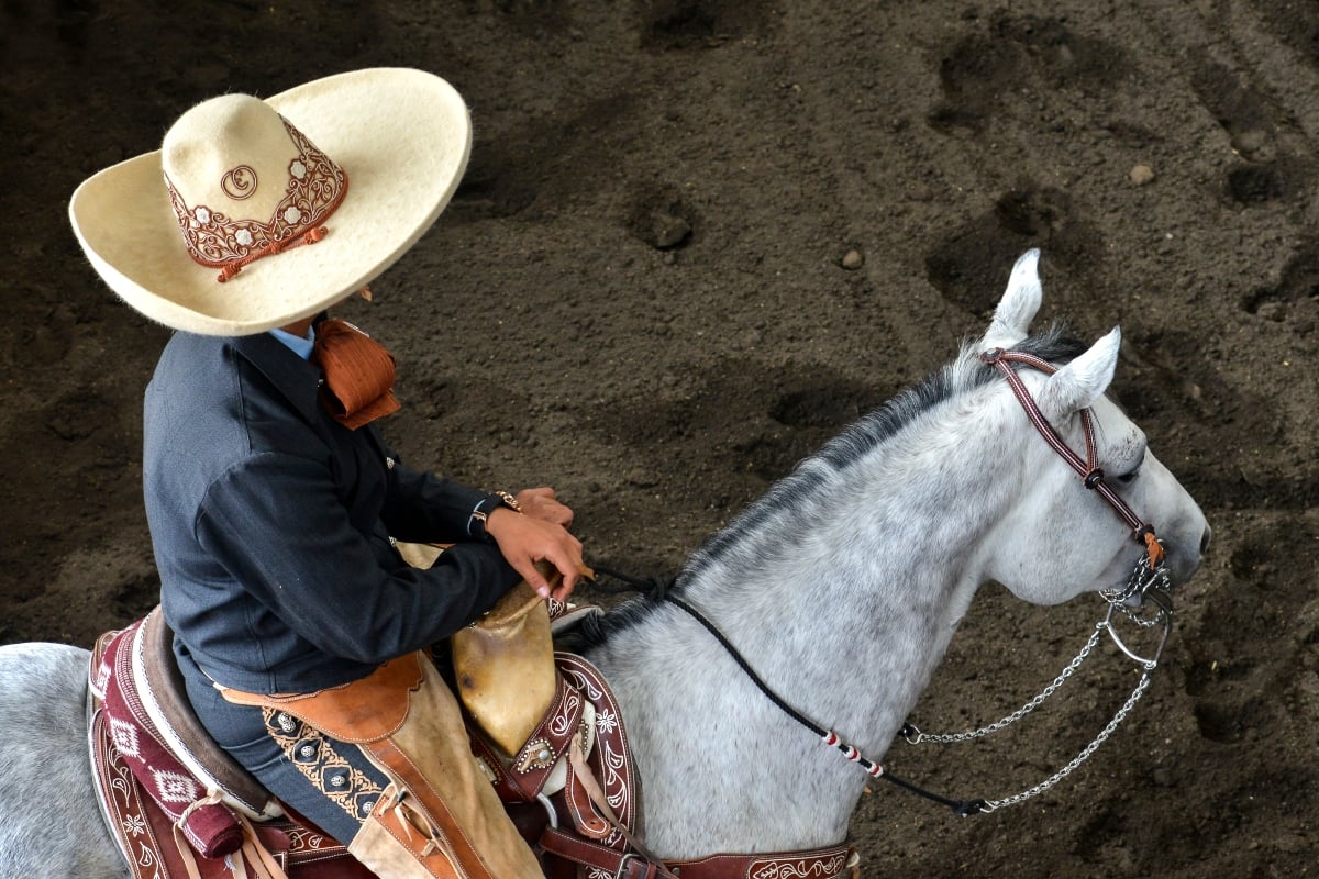 Mayrita muestra cirugía