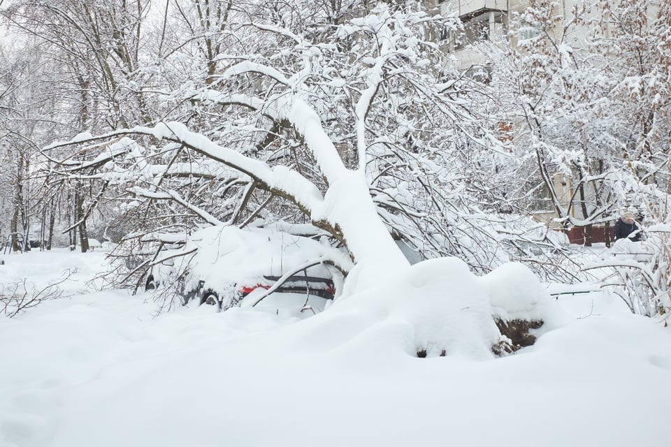 Snowstorm in Sierra Nevada, Storm, Sacramento, USA, California