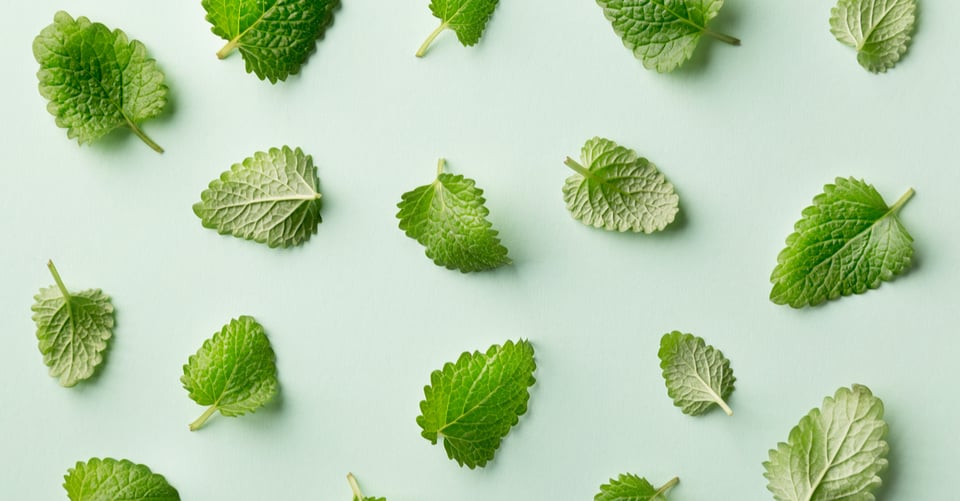 Mint leaves as an aphrodisiac idea