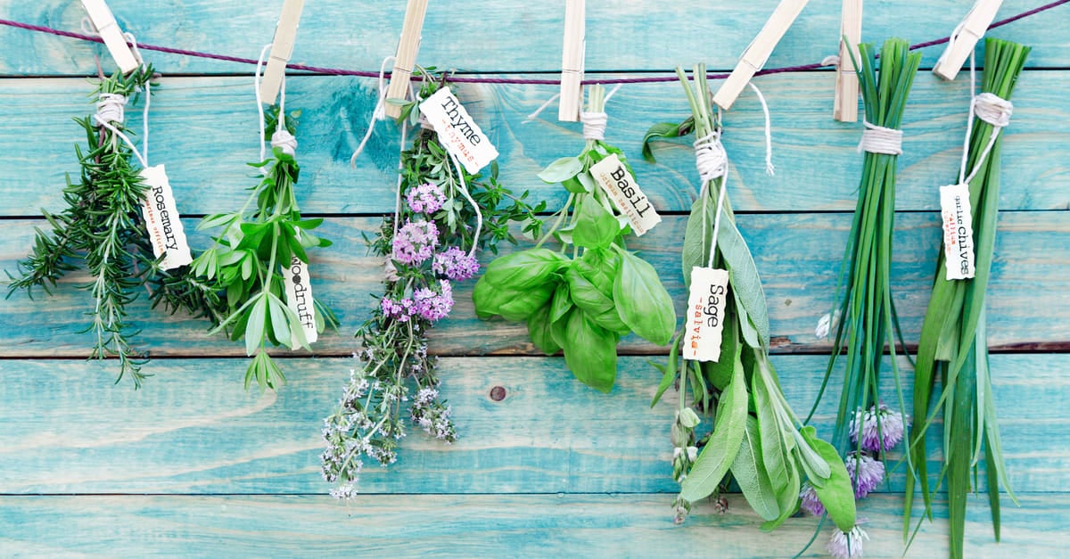 How to Grow an Indoor Herb Garden You’ll Actually Use