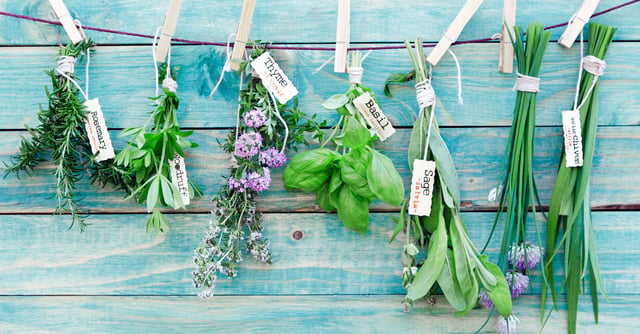 How to Grow an Indoor Herb Garden You’ll Actually Use