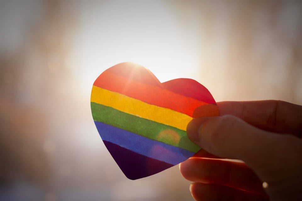 mentorship in LGBTQIA+ community, pride flag, rainbow colored heart