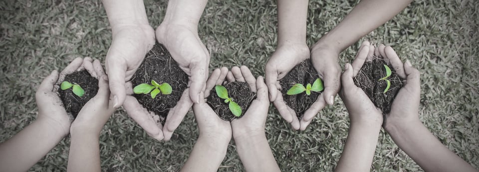 Día internacional del medio ambiente: 5 propuestas para cuidarlo featured image