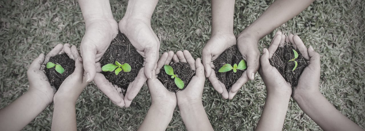 Día internacional del medio ambiente: 5 propuestas para cuidarlo