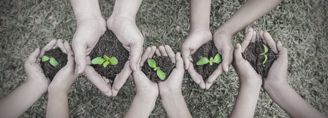 Día internacional del medio ambiente: 5 propuestas para cuidarlo