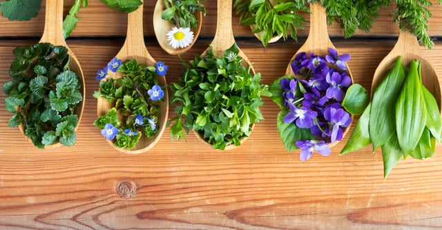 15 alimentos antivirales para mantenerte saludable durante las fiestas