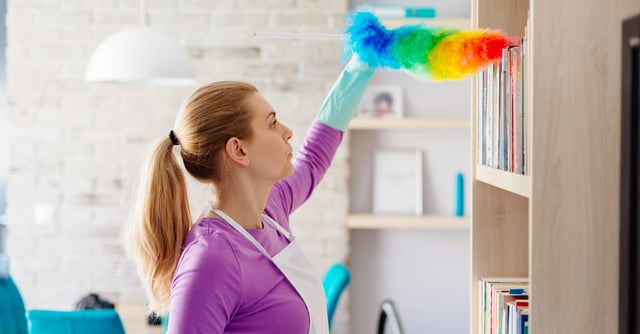 How to eliminate dust: 12 ways to get a dust-free home